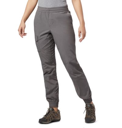 Calças Columbia Silver Ridge™ 2.0 Pull On Pants Feminino Cinzentas Portugal | 189940-YE4C