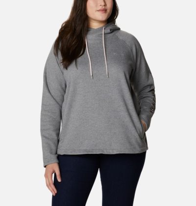 Moletons Columbia Hart Mountain™ Gráficas Hoodie Feminino Cinzentas Portugal | 171817-8B4G