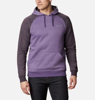 Moletons Columbia Hart Mountain™ II Fleece Hoodie Masculino Roxo Roxo Escuro Portugal | 119296-3Y5O