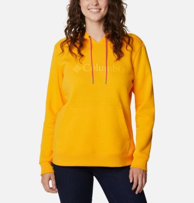 Moletons Columbia Logo Hoodie Feminino Luz Douradas Portugal | 169327-E8LF