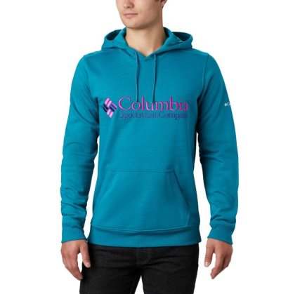 Moletons Columbia South Lake™ Logo Hoodie Masculino Luz Menta Portugal | 172711-7QPN