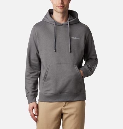 Moletons Columbia Viewmont™ II Sleeve Gráficas Hoodie Masculino Cinzentas Portugal | 143054-FQI7