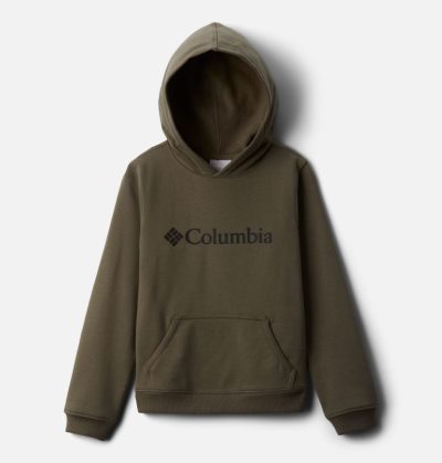 Moletom Com Capuz Columbia Park™ Hoodie Criança Verdes Portugal | 135651-UQHG