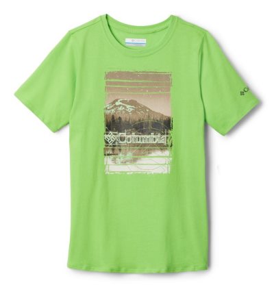 Camisetas Columbia Peak Point™ T-Shirt Criança Verdes Portugal | 123471-WS27