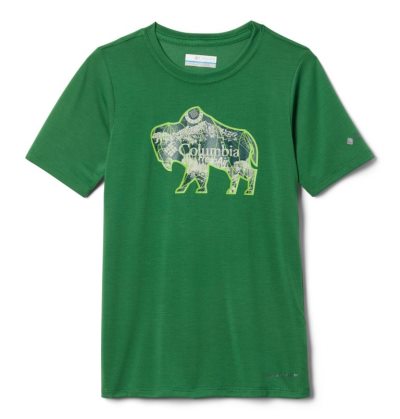 Camisetas Columbia Ranco Lake™ Curta Sleeve Tee Criança Verdes Portugal | 190402-0SBY