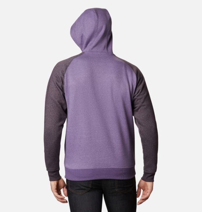 Moletons Columbia Hart Mountain™ II Fleece Hoodie Masculino Roxo Roxo Escuro Portugal | 119296-3Y5O