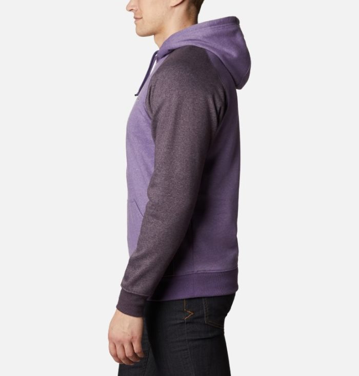 Moletons Columbia Hart Mountain™ II Fleece Hoodie Masculino Roxo Roxo Escuro Portugal | 119296-3Y5O