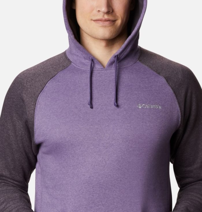 Moletons Columbia Hart Mountain™ II Fleece Hoodie Masculino Roxo Roxo Escuro Portugal | 119296-3Y5O