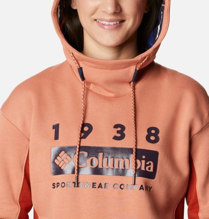 Moletons Columbia Lodge™ Hoodie Feminino Laranja Vermelhas Escuro Portugal | 166623-1HPU