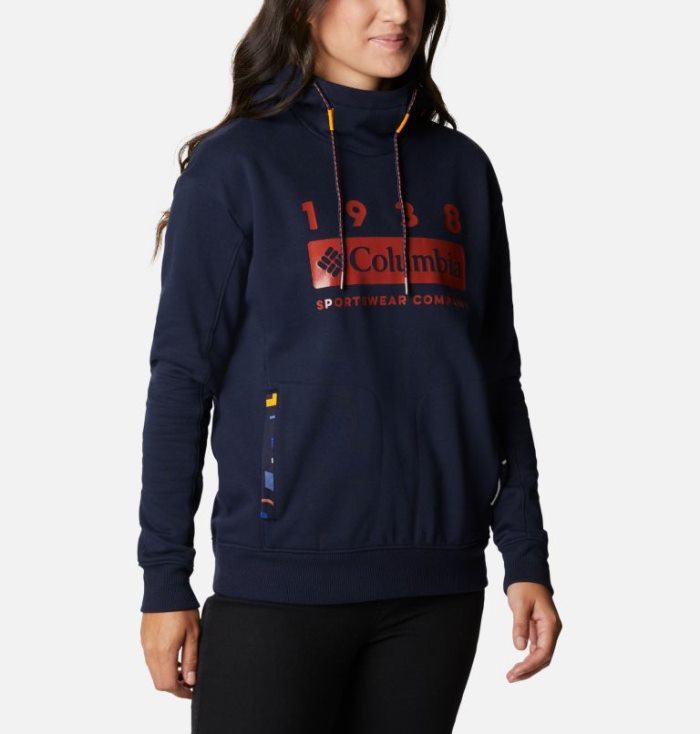 Moletons Columbia Lodge™ Hoodie Feminino Azuis Escuro Multicoloridas Portugal | 166718-NKR0