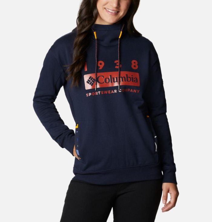 Moletons Columbia Lodge™ Hoodie Feminino Azuis Escuro Multicoloridas Portugal | 166718-NKR0