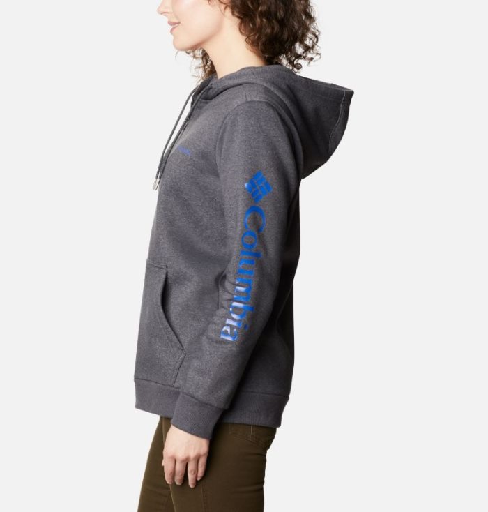 Moletons Columbia Logo Full Zip Hoodie Feminino Cinzentas Escuro Portugal | 152954-I9UZ