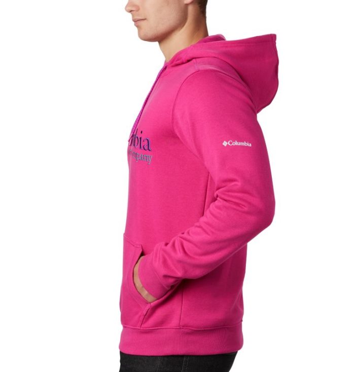 Moletons Columbia South Lake™ Logo Hoodie Masculino Rosa Escuro Portugal | 116044-CNFR