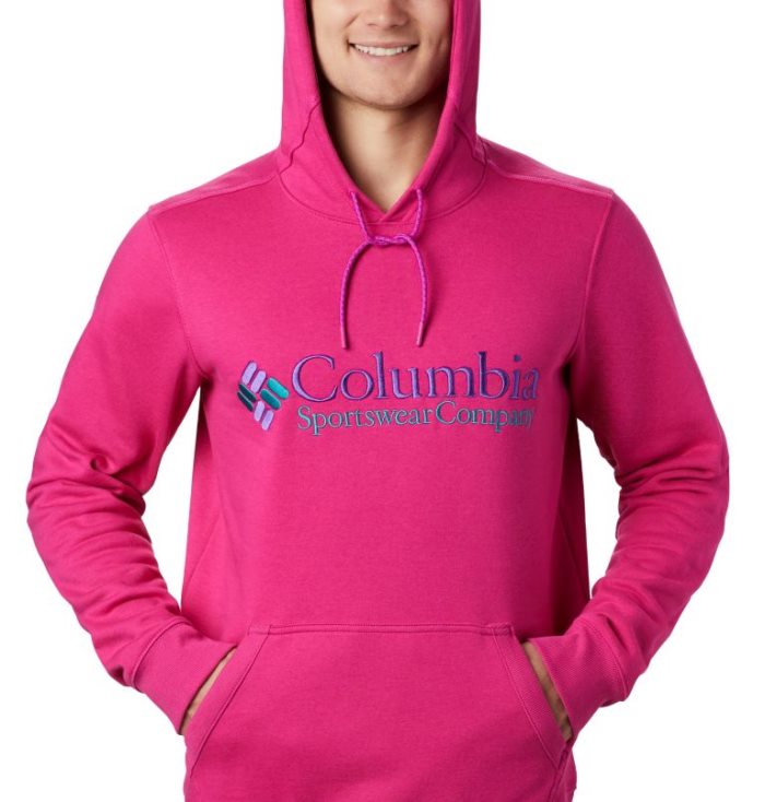 Moletons Columbia South Lake™ Logo Hoodie Masculino Rosa Escuro Portugal | 116044-CNFR