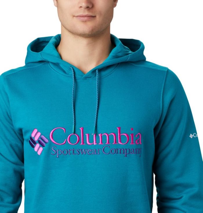 Moletons Columbia South Lake™ Logo Hoodie Masculino Luz Menta Portugal | 172711-7QPN