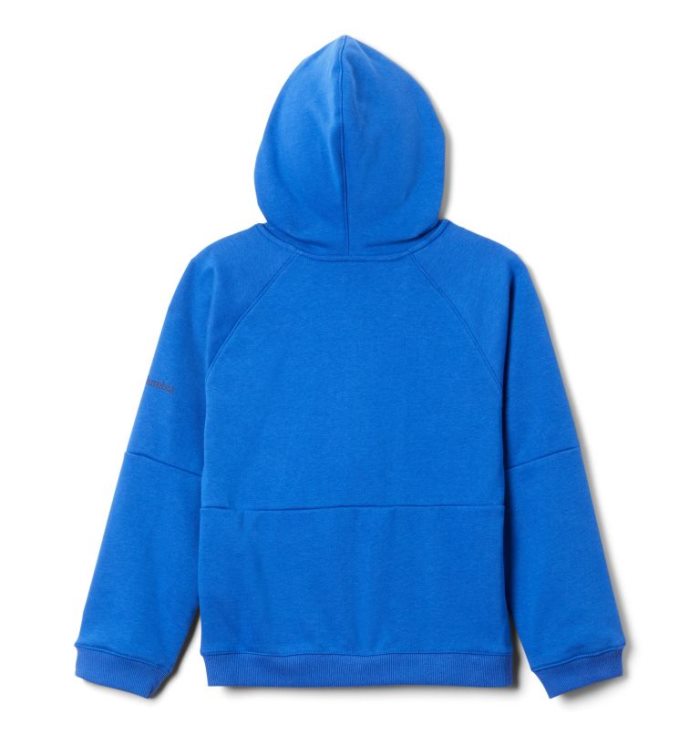 Moletom Com Capuz Columbia Branded French Terry Full Zip Hoodie Criança Azuis Portugal | 174754-Q73H