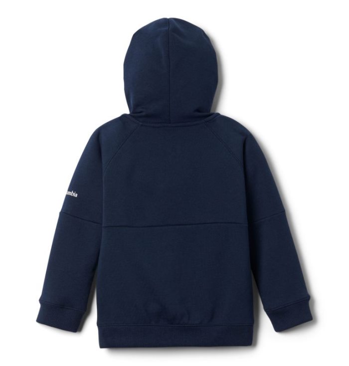 Moletom Com Capuz Columbia Branded French Terry Full Zip Hoodie Criança Azul Marinho Portugal | 190037-7YVG