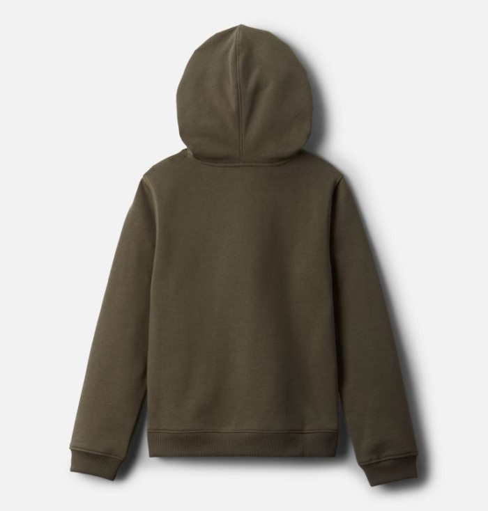 Moletom Com Capuz Columbia Park™ Hoodie Criança Verdes Portugal | 135651-UQHG