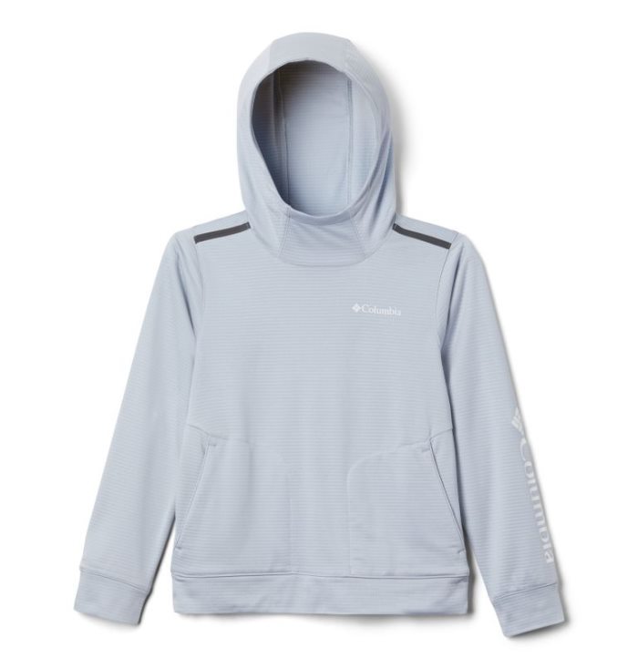 Moletom Com Capuz Columbia Tech Trek Hoodie Criança Luz Cinzentas Portugal | 148580-ECMS