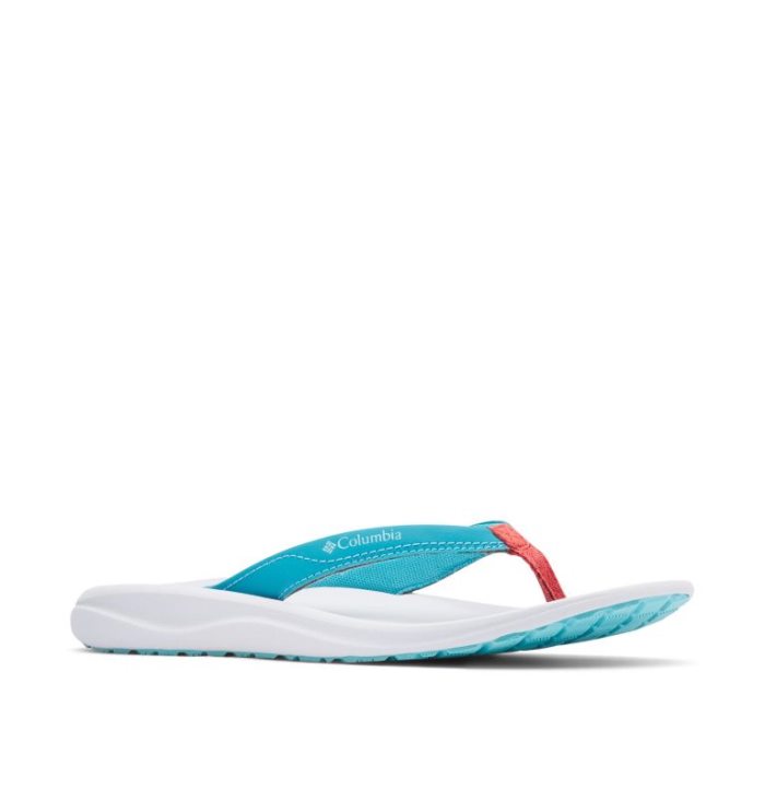 Sandalias Columbia Flip Flop Feminino Luz Azuis Portugal | 183467-FUFZ