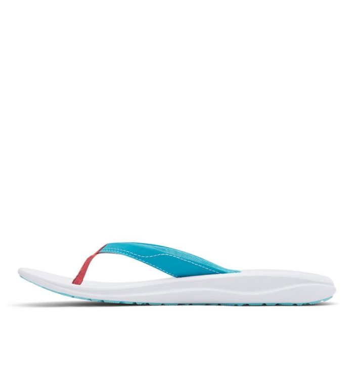 Sandalias Columbia Flip Flop Feminino Luz Azuis Portugal | 183467-FUFZ