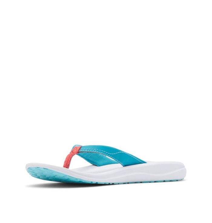 Sandalias Columbia Flip Flop Feminino Luz Azuis Portugal | 183467-FUFZ