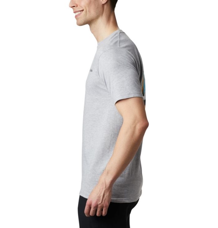 Camisetas Columbia Oak T-Shirt Masculino Cinzentas Portugal | 177663-HXI6