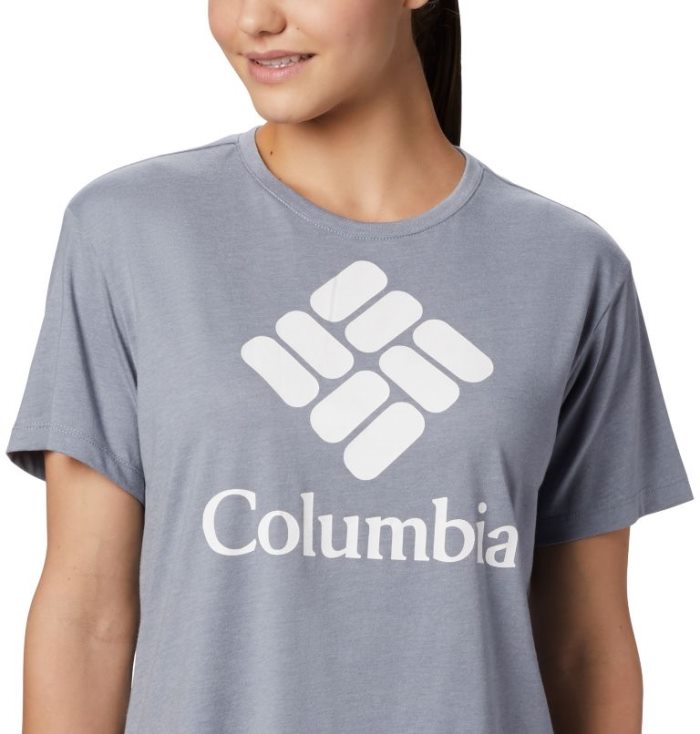 Camisetas Columbia Park™ Relaxed Tee Feminino Cinzentas Portugal | 127477-VTG9