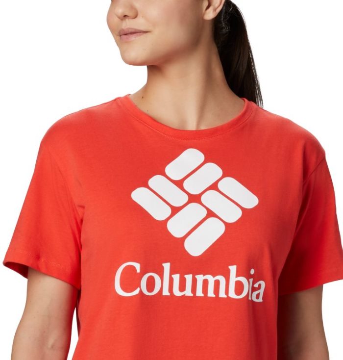 Camisetas Columbia Park™ Relaxed Tee Feminino Luz Vermelhas Portugal | 153325-RYEW