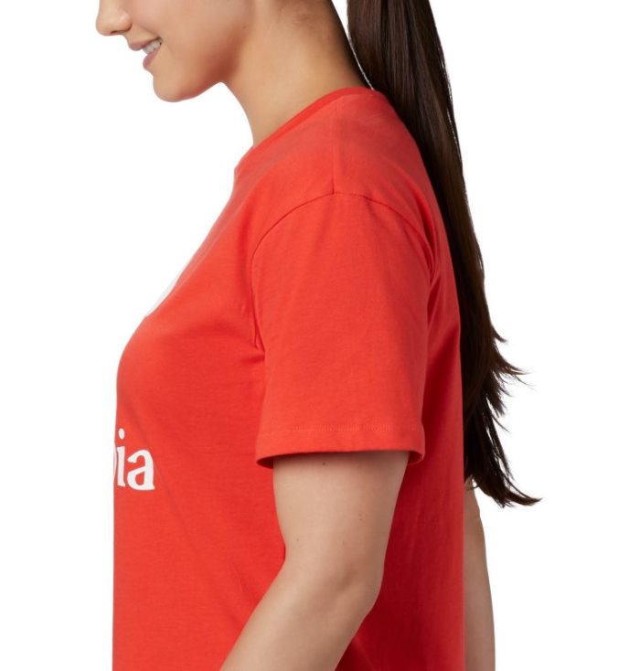 Camisetas Columbia Park™ Relaxed Tee Feminino Luz Vermelhas Portugal | 153325-RYEW