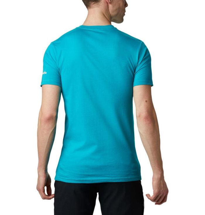 Camisetas Columbia Pegasus Algodão T-Shirt Masculino Luz Menta Portugal | 156244-NWWV