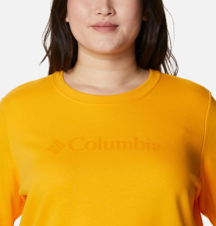 Tops Columbia Logo Crew Top Feminino Luz Douradas Portugal | 190567-RE8M